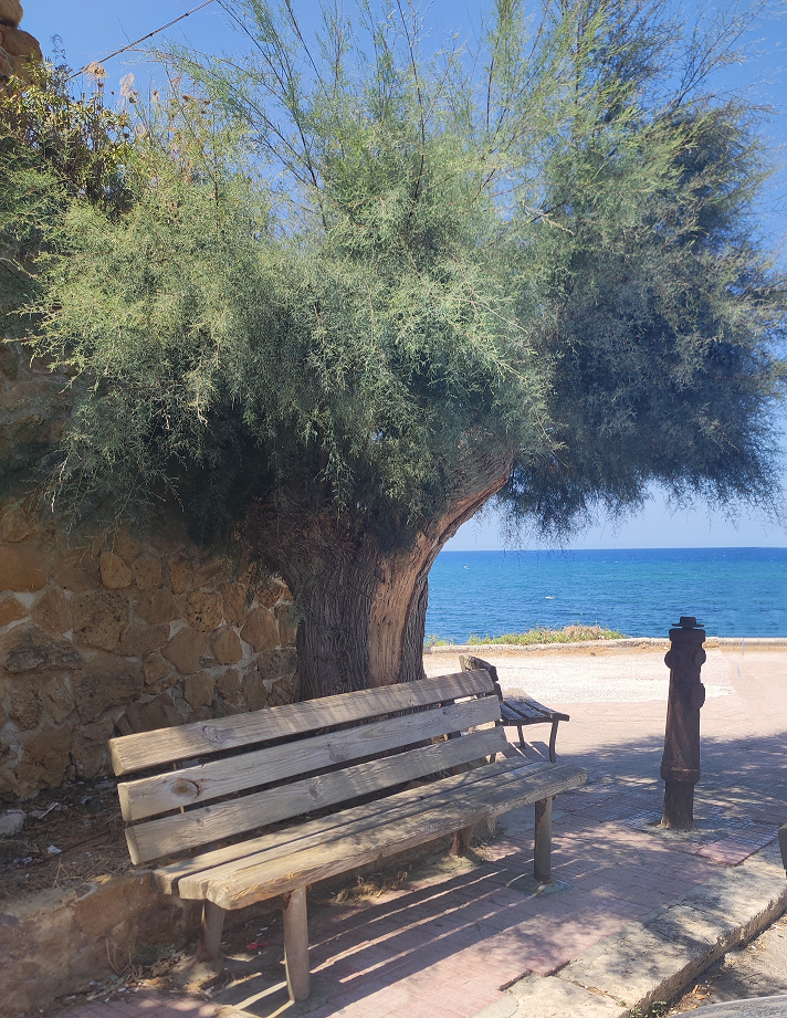 Letters from Sicily beach scene at Trapetto