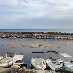 The sea grass clogging up Selinunte's Port