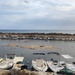 The sea grass clogging up Selinunte's Port