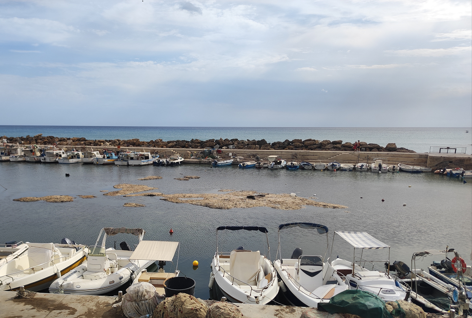 The sea grass clogging up Selinunte's Port
