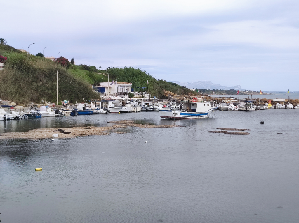 Selinunte's port clogged up with seagrass.