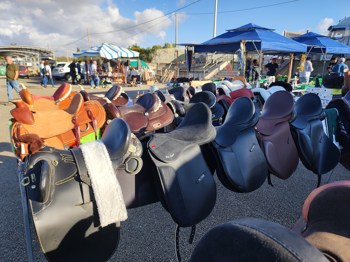 Leather saddles at the Partanna Livestock Fair